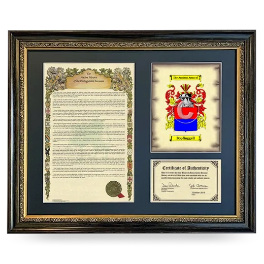 Bopfinggell Framed Surname History and Coat of Arms- Heirloom