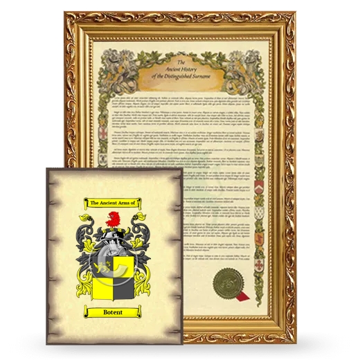 Botent Framed History and Coat of Arms Print - Gold