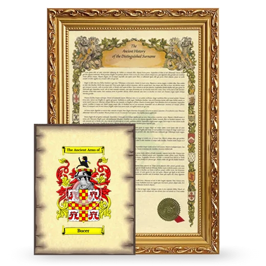 Bucer Framed History and Coat of Arms Print - Gold