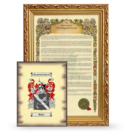 Brace Framed History and Coat of Arms Print - Gold