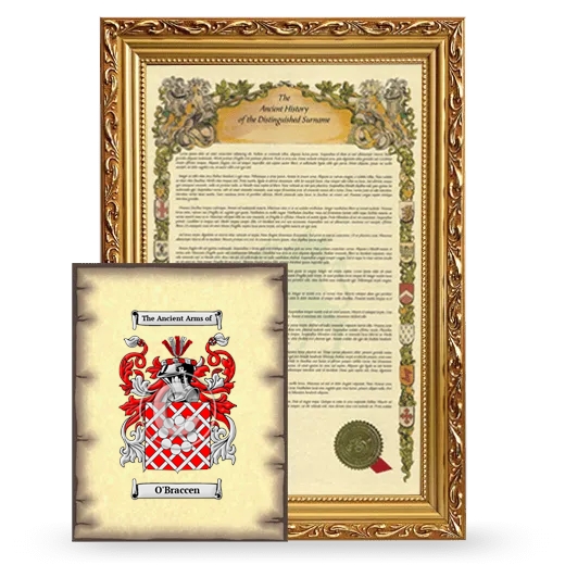 O'Braccen Framed History and Coat of Arms Print - Gold