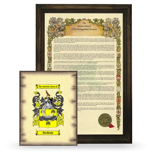 Bredenie Framed History and Coat of Arms Print - Brown