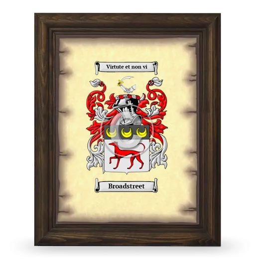 Broadstreet Coat of Arms Framed - Brown