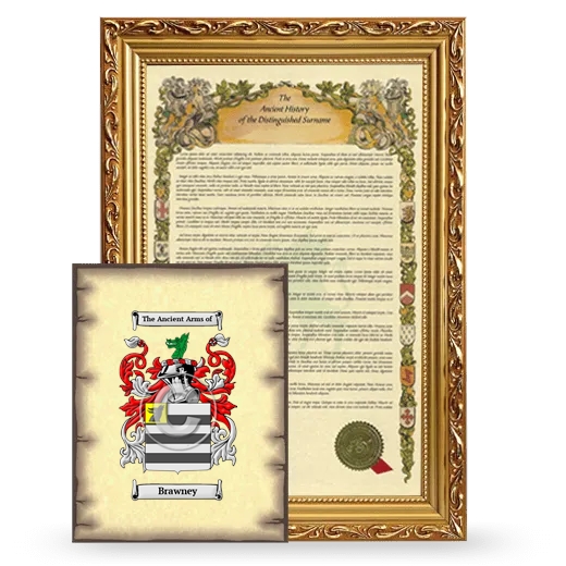 Brawney Framed History and Coat of Arms Print - Gold