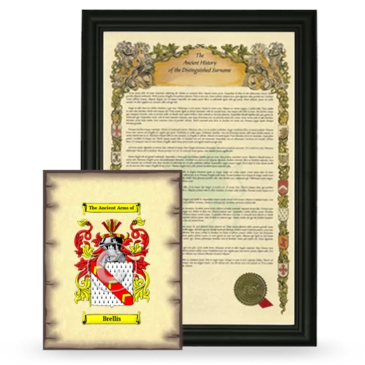 Brellis Framed History and Coat of Arms Print - Black