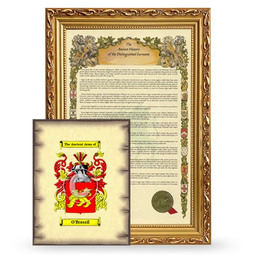 O'Brassil Framed History and Coat of Arms Print - Gold