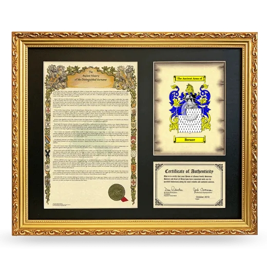 Breare Framed Surname History and Coat of Arms- Gold