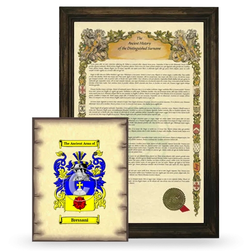 Bressani Framed History and Coat of Arms Print - Brown