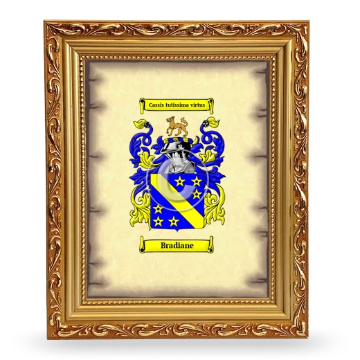 Bradiane Coat of Arms Framed - Gold