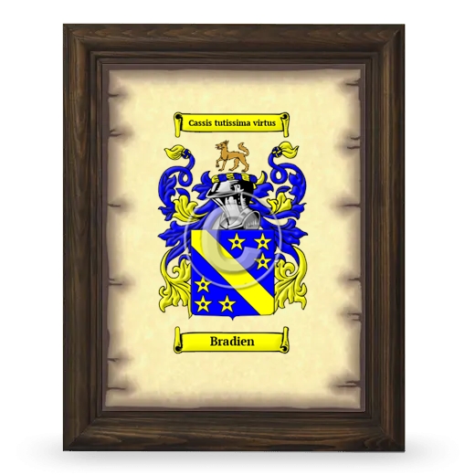 Bradien Coat of Arms Framed - Brown