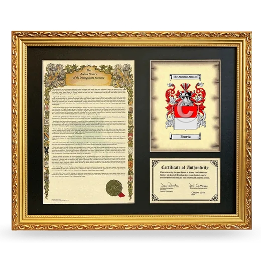 Braetz Framed Surname History and Coat of Arms- Gold