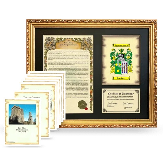 Bruninger Framed History And Complete History - Gold