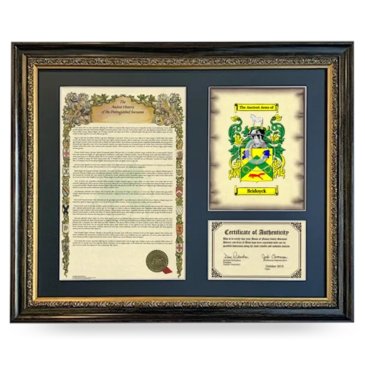 Bridoyck Framed Surname History and Coat of Arms- Heirloom