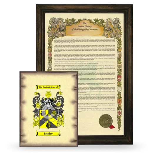 Brinley Framed History and Coat of Arms Print - Brown