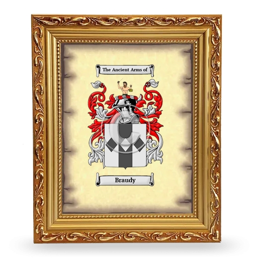 Braudy Coat of Arms Framed - Gold