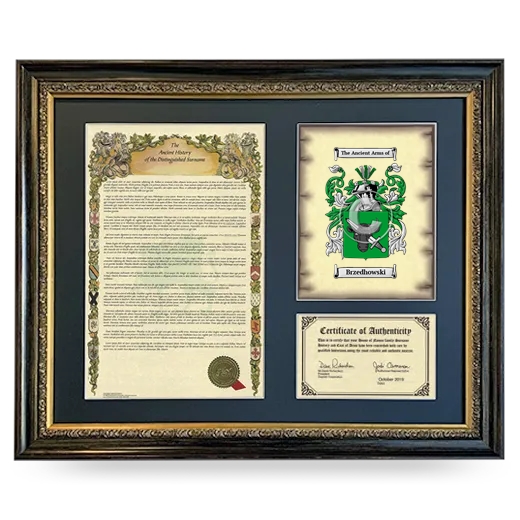 Brzedhowski Framed Surname History and Coat of Arms- Heirloom