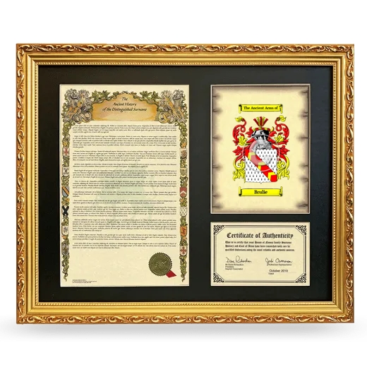 Brulie Framed Surname History and Coat of Arms- Gold