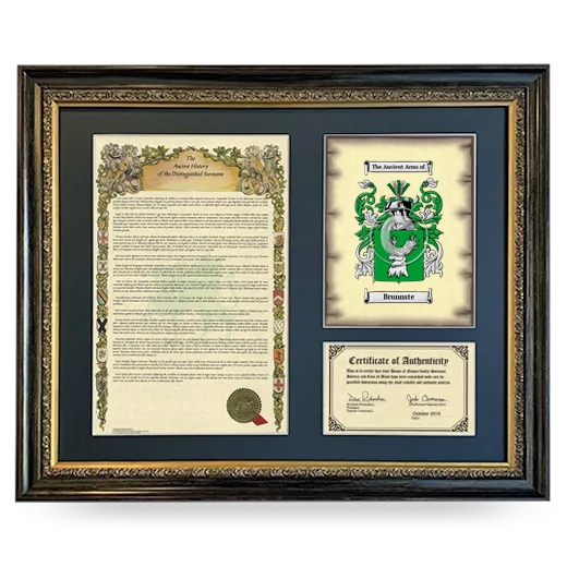 Brunnste Framed Surname History and Coat of Arms- Heirloom