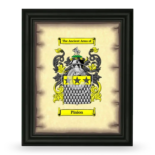 Pinion Coat of Arms Framed - Black