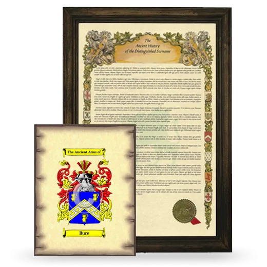 Bure Framed History and Coat of Arms Print - Brown