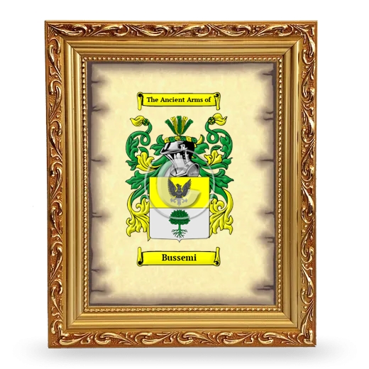 Bussemi Coat of Arms Framed - Gold