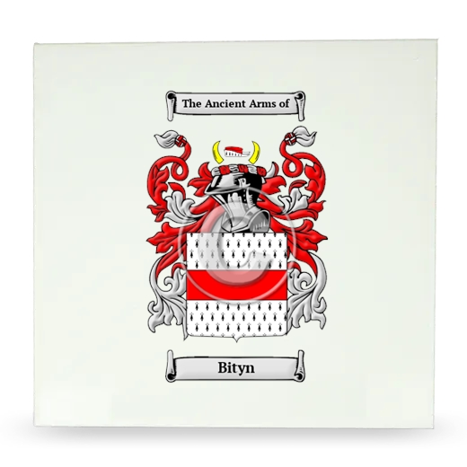 Bityn Large Ceramic Tile with Coat of Arms