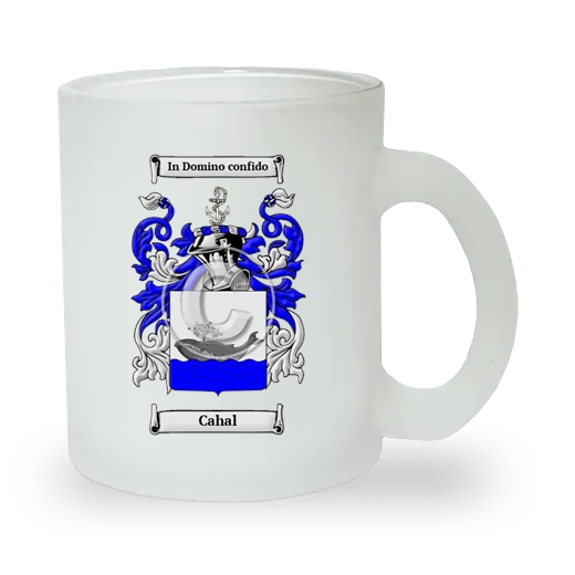 Cahal Frosted Glass Mug