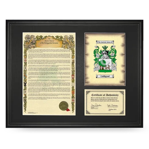Caldigynd Framed Surname History and Coat of Arms - Black