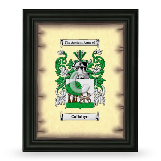 Callahyn Coat of Arms Framed - Black