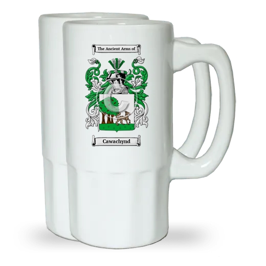 Cawachynd Pair of Beer Steins