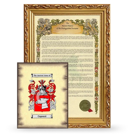 Capozzi Framed History and Coat of Arms Print - Gold