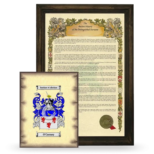 O'Carnay Framed History and Coat of Arms Print - Brown