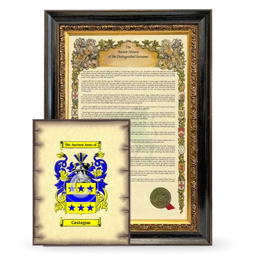 Castagna Framed History and Coat of Arms Print - Heirloom