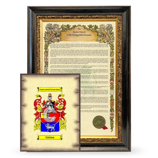 Cattan Framed History and Coat of Arms Print - Heirloom