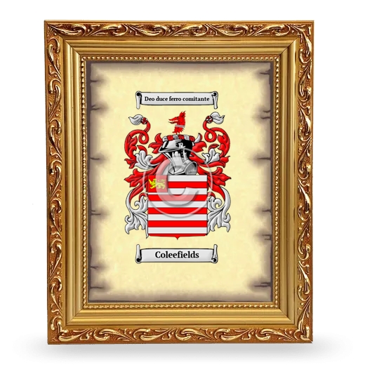 Coleefields Coat of Arms Framed - Gold