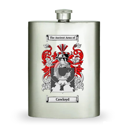 Cawloyd Stainless Steel Hip Flask