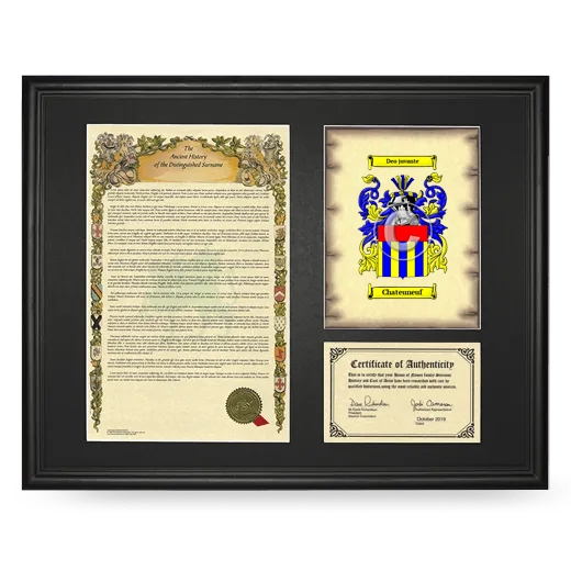 Chateuneuf Framed Surname History and Coat of Arms - Black