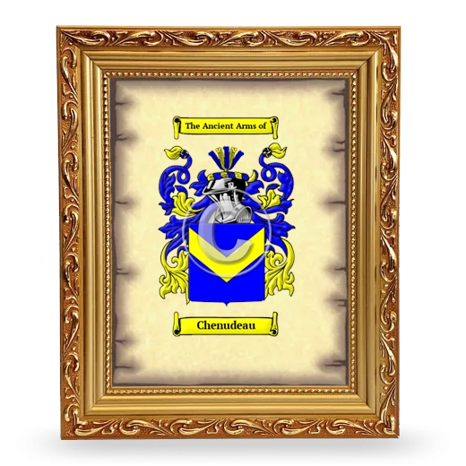 Chenudeau Coat of Arms Framed - Gold