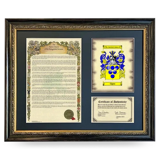 Cipro Framed Surname History and Coat of Arms- Heirloom