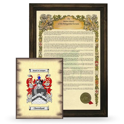 Cleevelynd Framed History and Coat of Arms Print - Brown