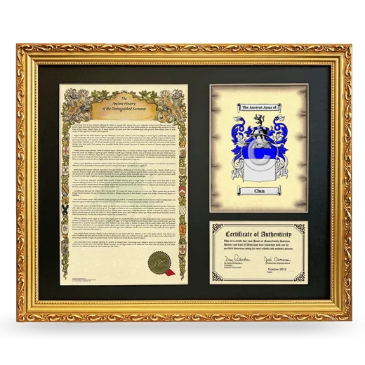 Clun Framed Surname History and Coat of Arms- Gold