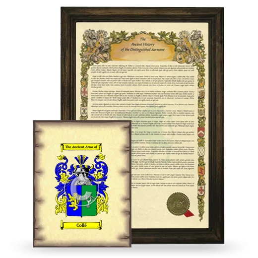 Collé Framed History and Coat of Arms Print - Brown