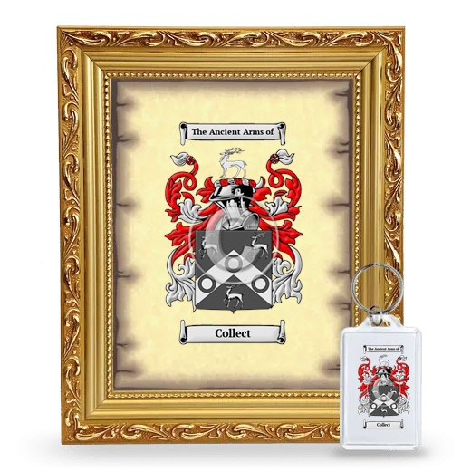 Collect Framed Coat of Arms and Keychain - Gold