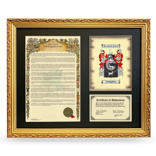 Catingham Framed Surname History and Coat of Arms- Gold