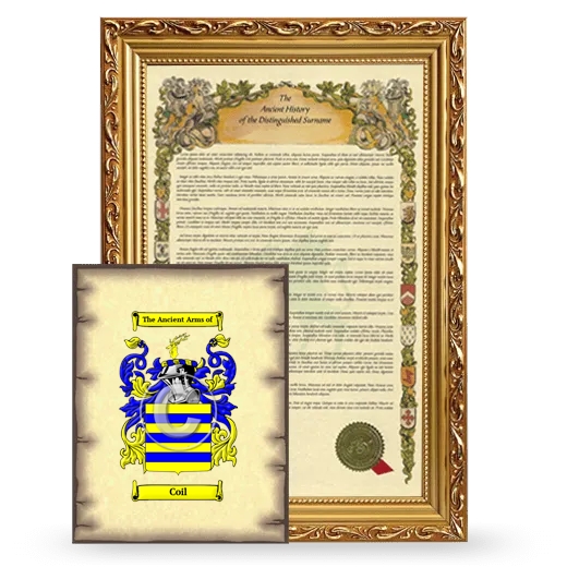Coil Framed History and Coat of Arms Print - Gold