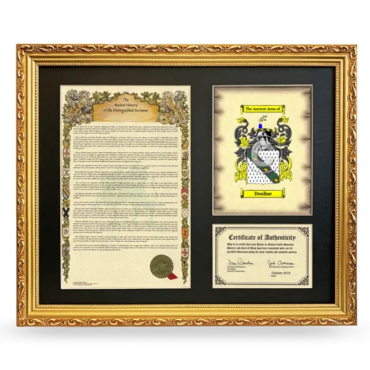 Douline Framed Surname History and Coat of Arms- Gold