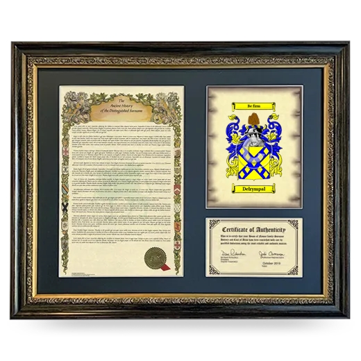 Delrympal Framed Surname History and Coat of Arms- Heirloom