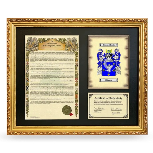 Oltume Framed Surname History and Coat of Arms- Gold
