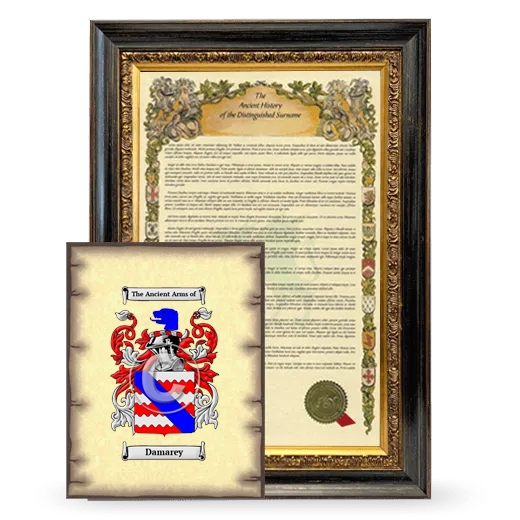 Damarey Framed History and Coat of Arms Print - Heirloom