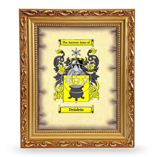 Deinlein Coat of Arms Framed - Gold